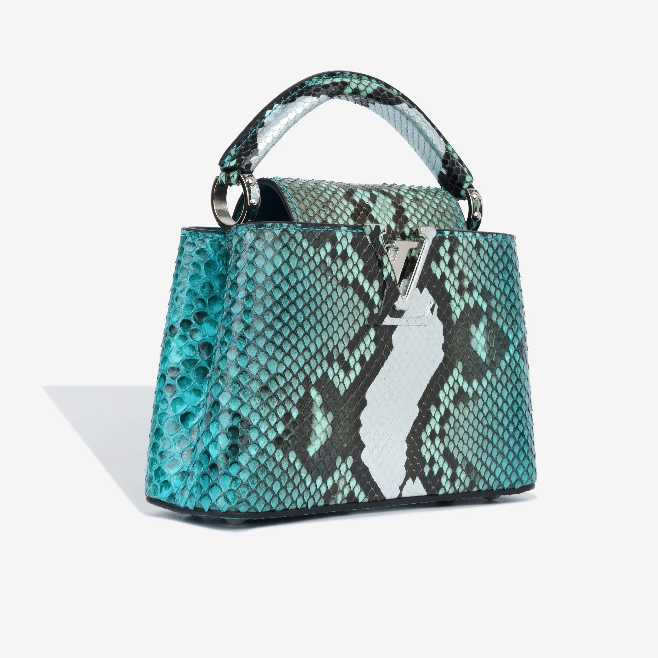 Capucines BB - Blue Python