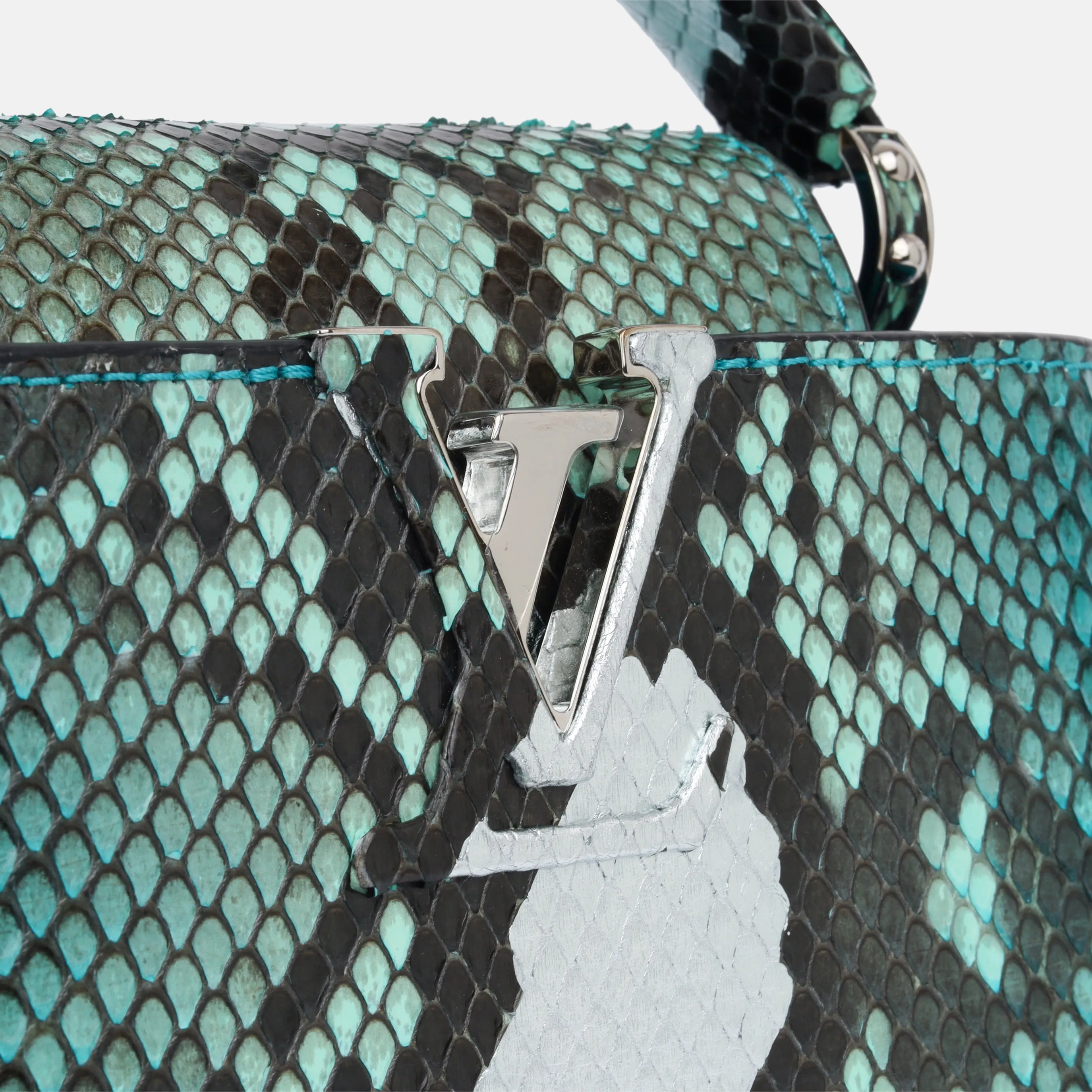 Capucines BB - Blue Python
