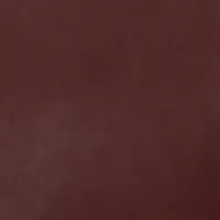 Mini Chain Pouch Bag With Long Strap In Burgundy Leather