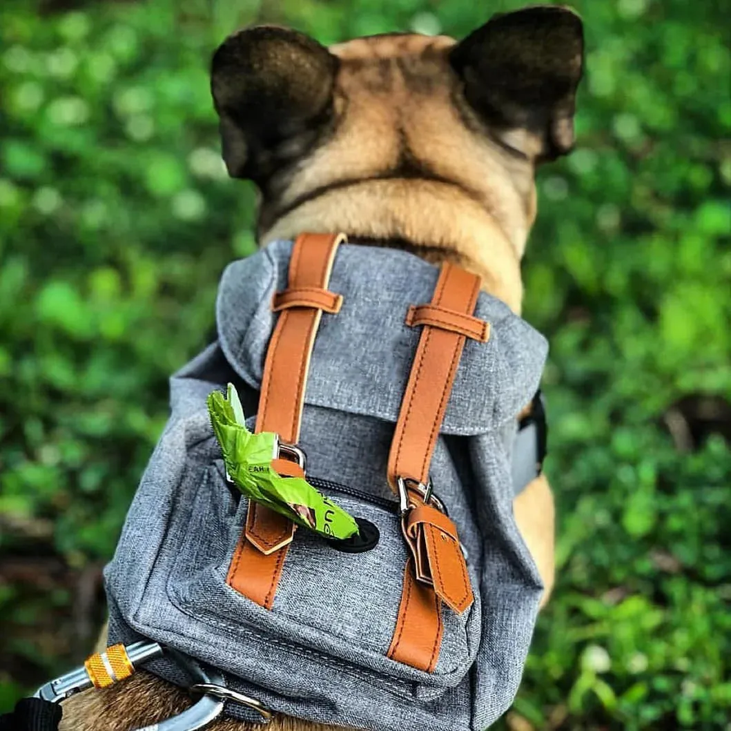 Schnauzer and French Bulldog Dog Bag - Self Backpack - Small Schoolbag Style Denim Dog Backpack - Backpack for Dog Items