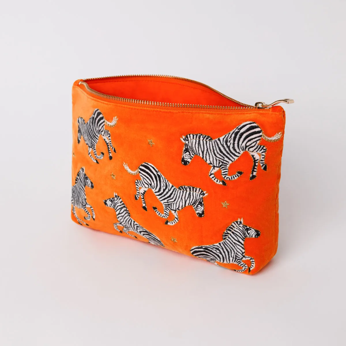 Zebra Everyday Pouch